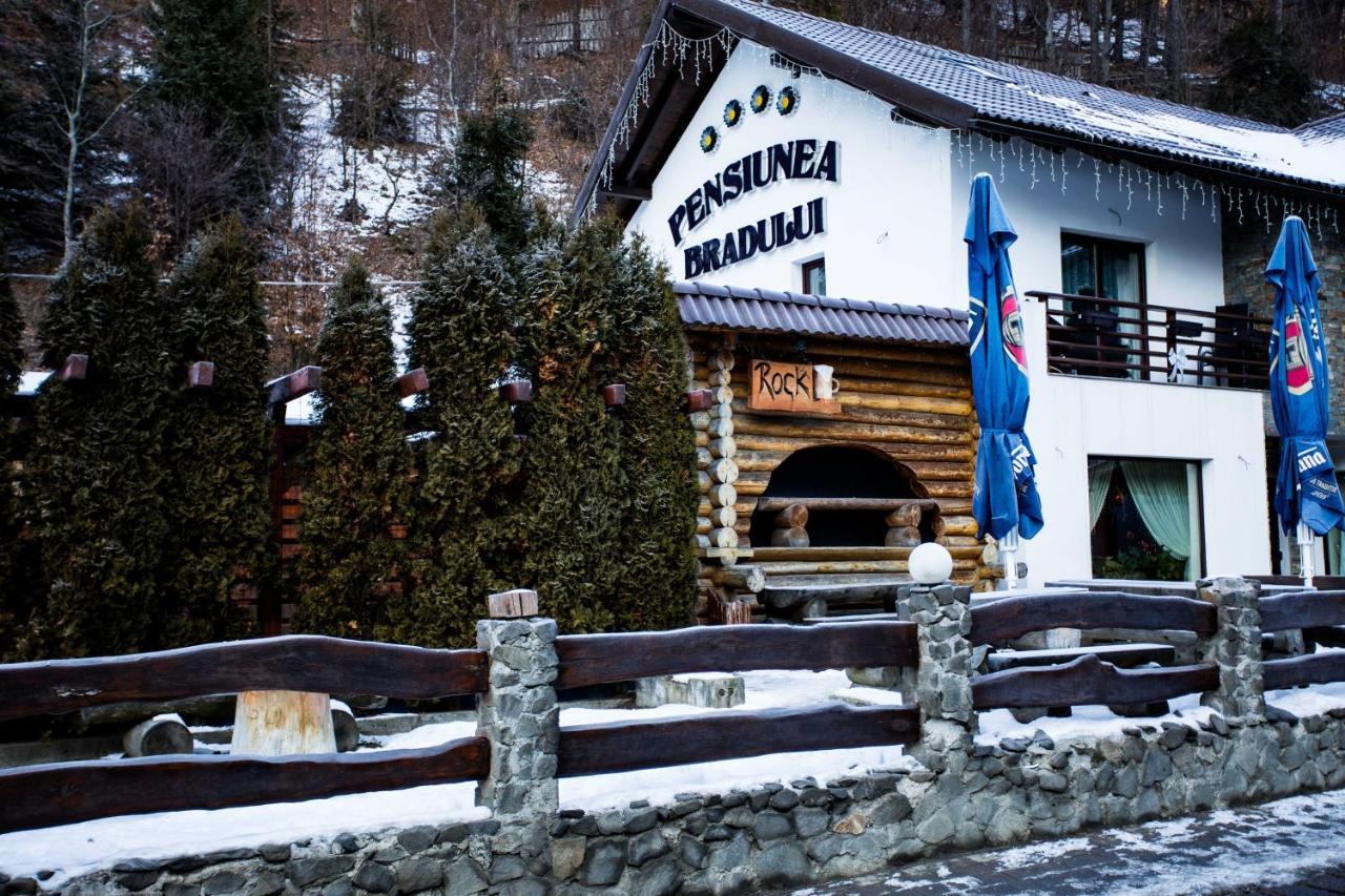 Pensiunea Bradului Colibiţa Exterior foto